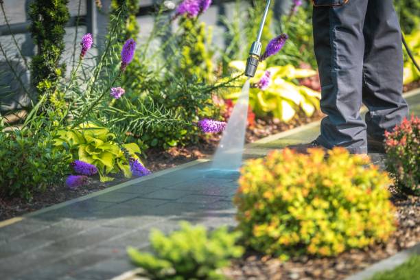 Best Dumpster Area Cleaning  in Herald, CA